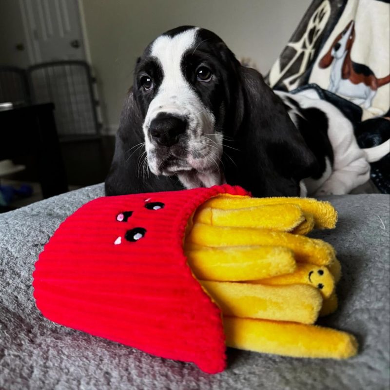Cooper
